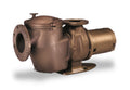 Pentair C Series Commercial Bronze Pump 10 HP CHK-100 W/ Trap,  3ph, Bronze Pump |011659