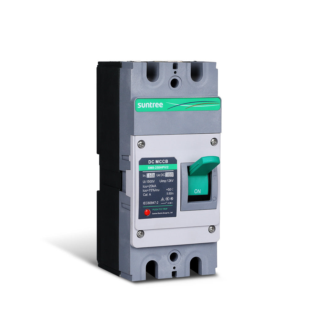 160A 2P DC Molded Case Circuit Breaker 