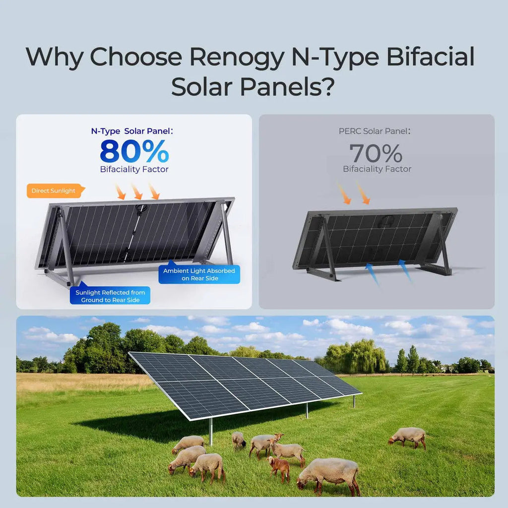 590W N-Type Bifacial Solar Panel (2-Pack)