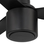 RAVIAN® 52" 3-Blade Ceiling Fan