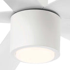 RAVIAN® 52" 5-Blade Ceiling Fan