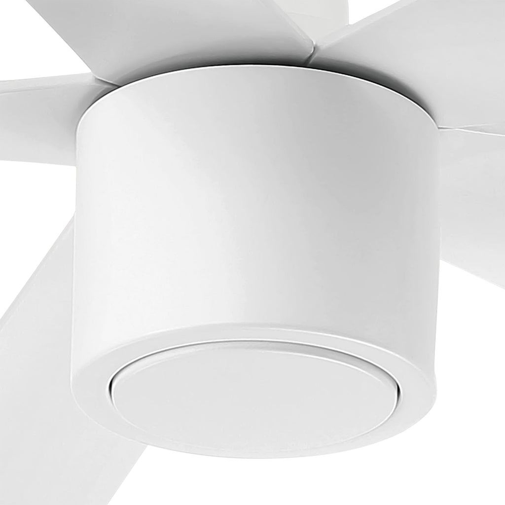 RAVIAN® 52" 5-Blade Ceiling Fan
