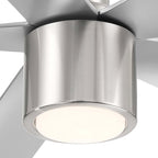 RAVIAN® 60" 5-Blade Ceiling Fan