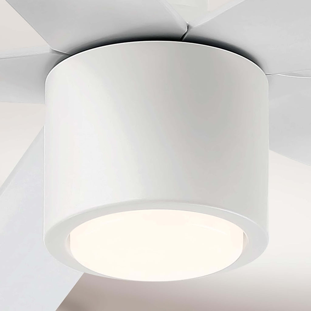 RAVIAN® 60" 5-Blade Ceiling Fan