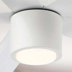 RAVIAN® 60" 5-Blade Ceiling Fan