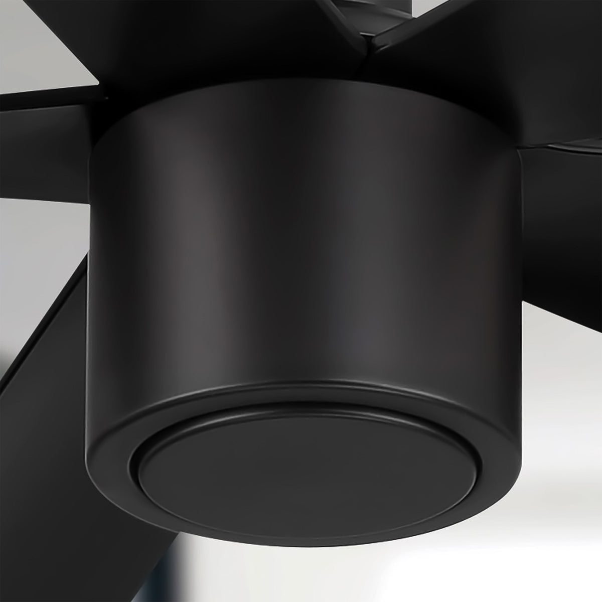 RAVIAN® 60" 5-Blade Ceiling Fan