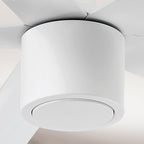 RAVIAN® 60" 5-Blade Ceiling Fan