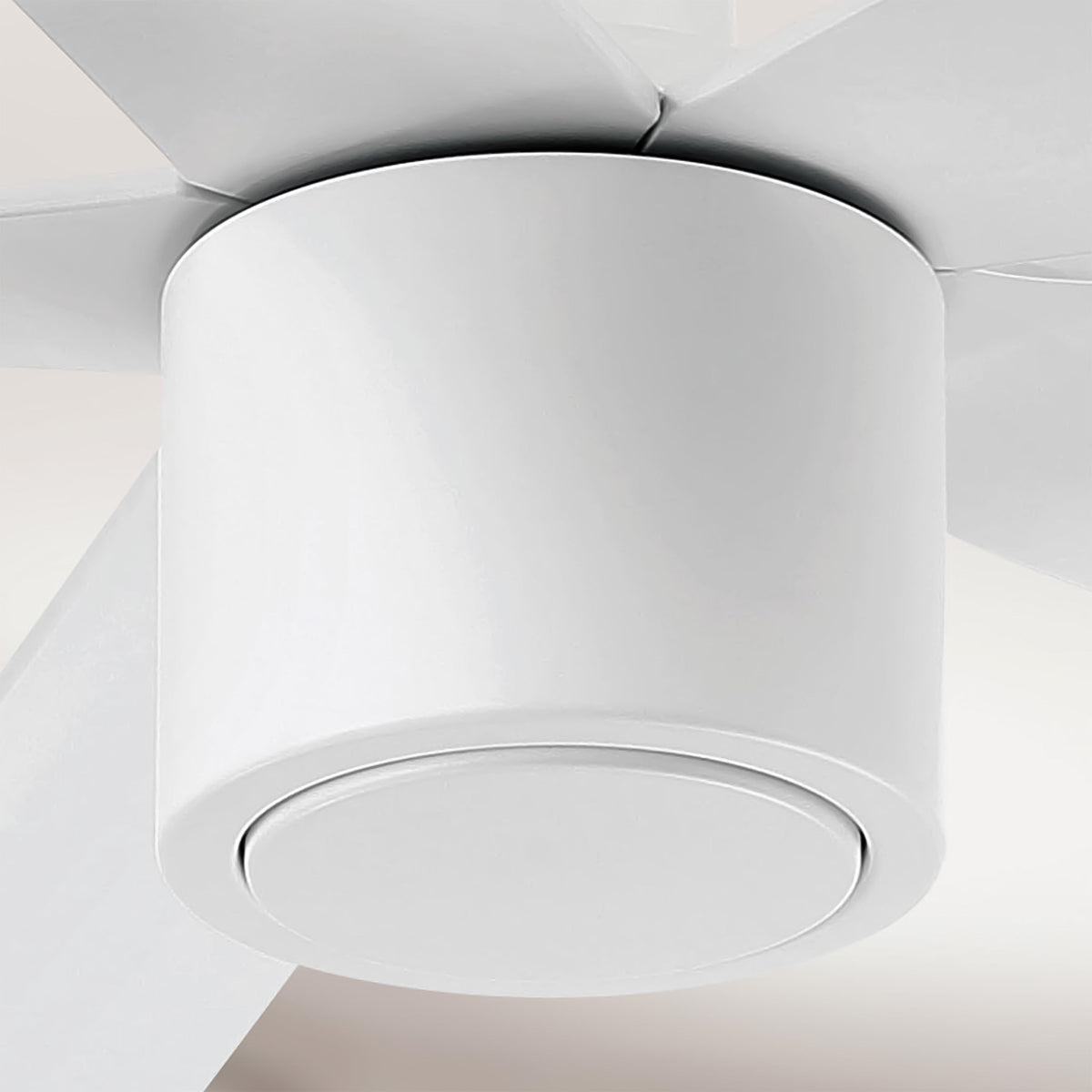 RAVIAN® 60" 5-Blade Ceiling Fan