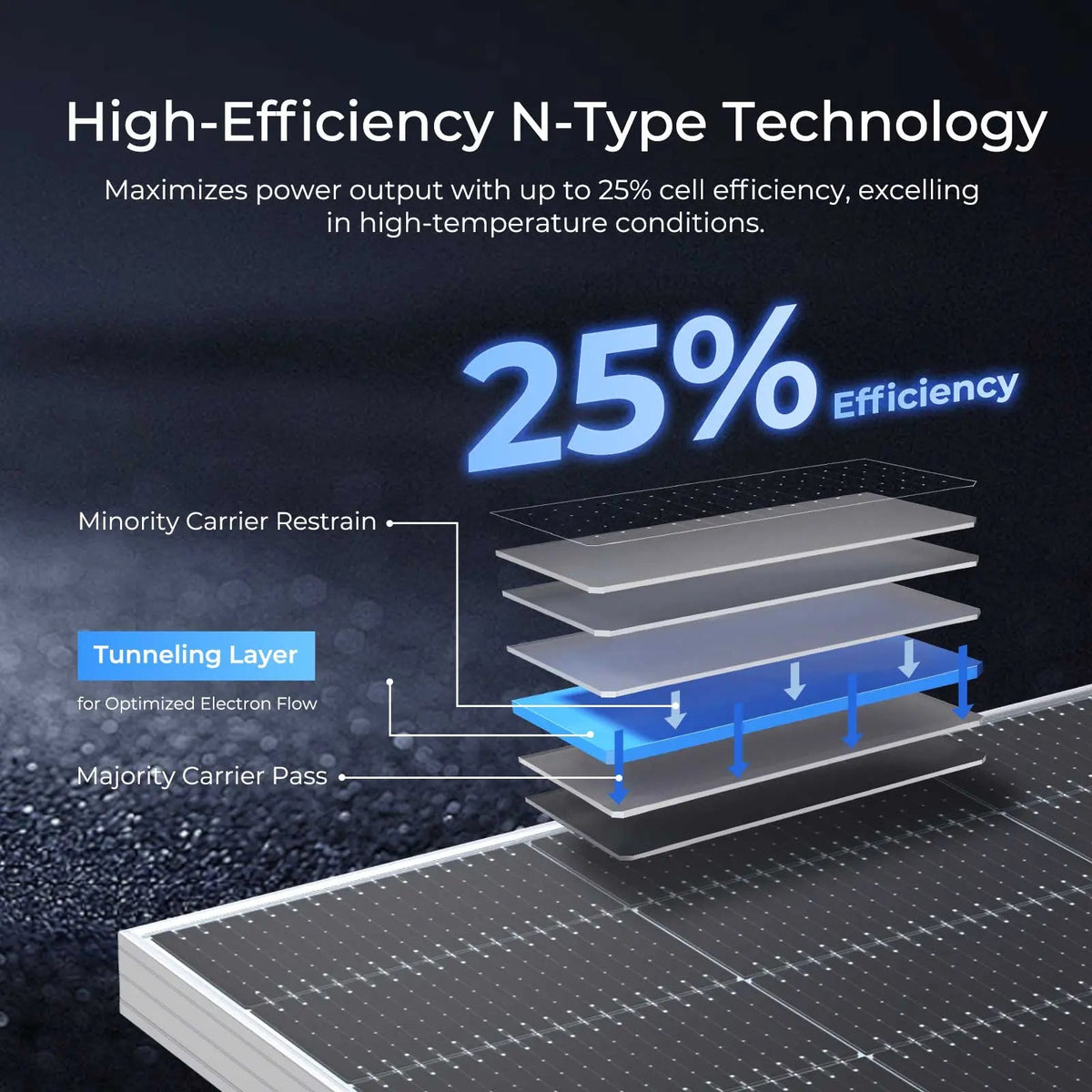 590W N-Type Bifacial Solar Panel (2-Pack)