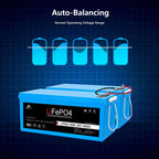 SunGoldPower 24V 100AH LifePO4 Deep Cycle Lithium Battery Bluetooth / Self-Heating / IP65