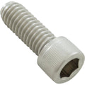 Pentair 071037Z Impeller Lock Screw for EQ and C Series® Pumps