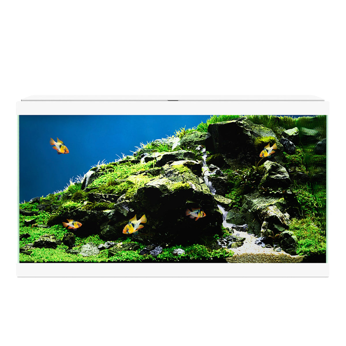 Ciano Aqua 60 Aquarium - CF80 with CF80 Filter