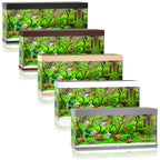 Juwel Rio 240 LED Aquarium with Filter & Heater