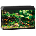 Juwel Primo 60 LED Aquarium - Black, 57L
