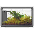 Superfish Home 30L Aquarium with Sunrise LED & Filter