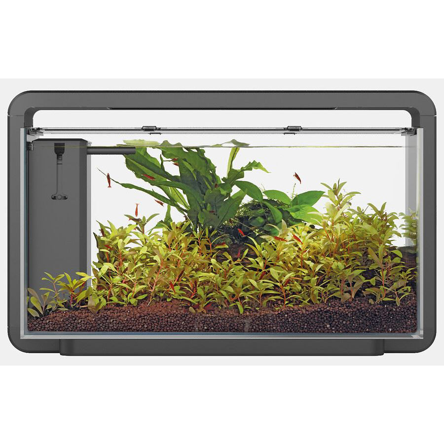 Superfish Home 30L Aquarium with Sunrise LED & Filter