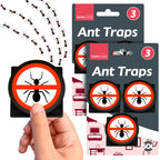 Ant Trap Bait Station | Stop Ants Killer Indoor & Outdoor | 6 Pack