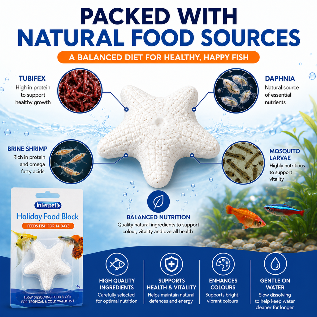 Interpet Fish Holiday Food Block – 2-Week Sustenance