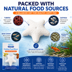 Interpet Fish Holiday Food Block – 2-Week Sustenance