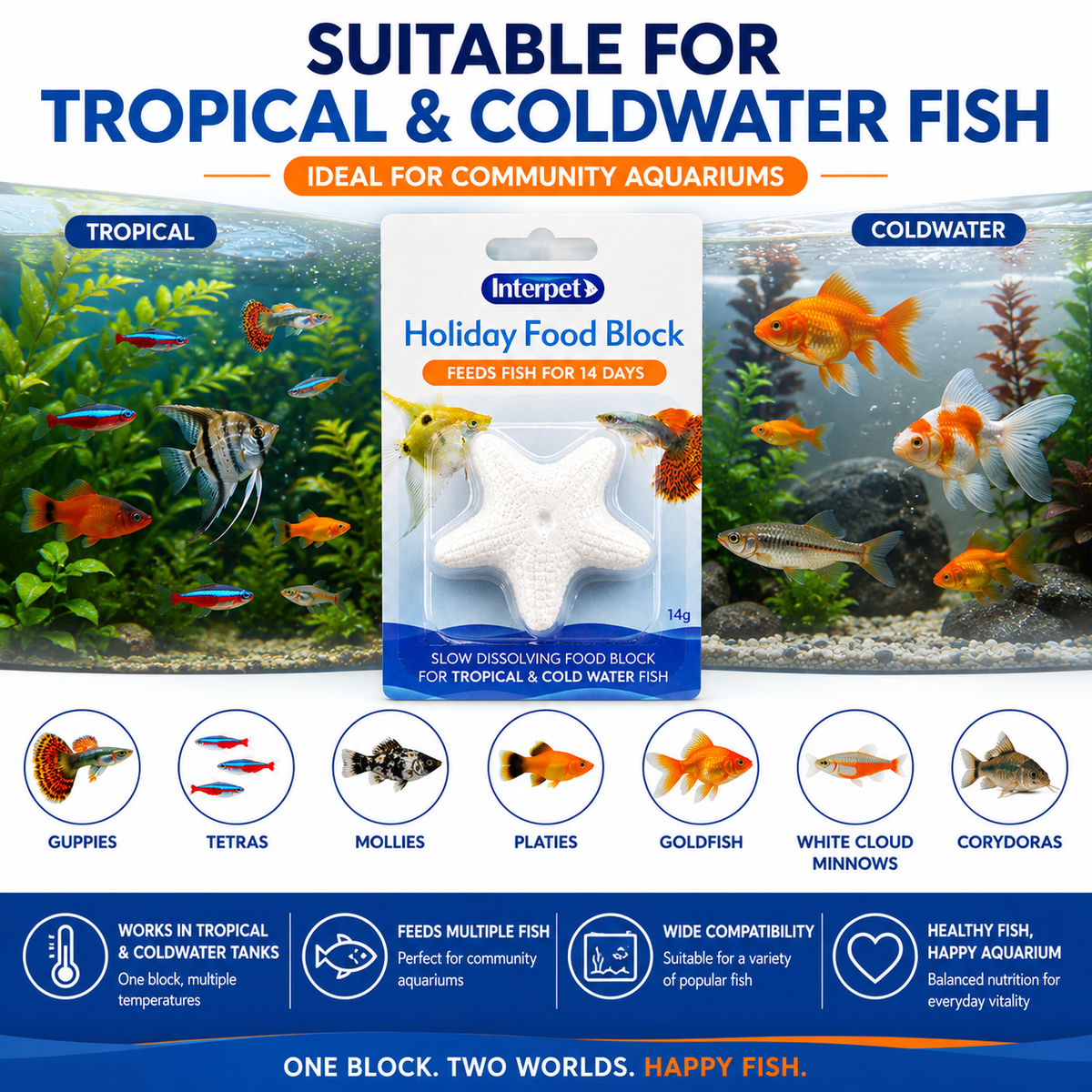 Interpet Fish Holiday Food Block – 2-Week Sustenance