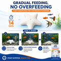Interpet Fish Holiday Food Block – 2-Week Sustenance