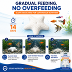 Interpet Fish Holiday Food Block – 2-Week Sustenance