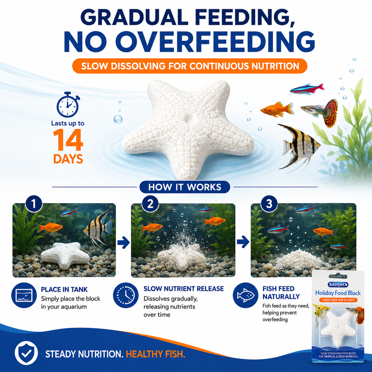 Interpet Fish Holiday Food Block – 2-Week Sustenance