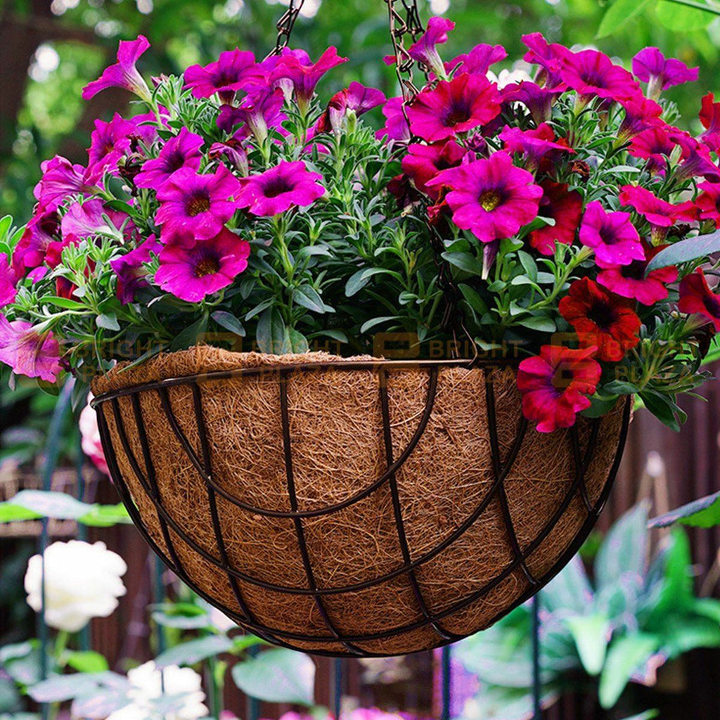 Garden Hanging Basket With Liner & Chain Flower Plant Pots Planters Baskets Coir