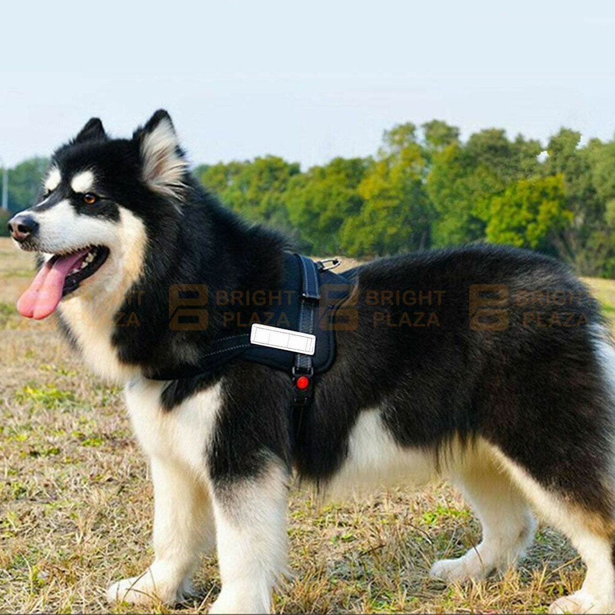 Reflective Adjustable Pet Puppy Dog Harness Support Padded BUY 1 GET 1 FREE