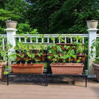 3 Tier Metal Plant Stand Flower Pot Planter Display Rack Garden Balcony Shelf
