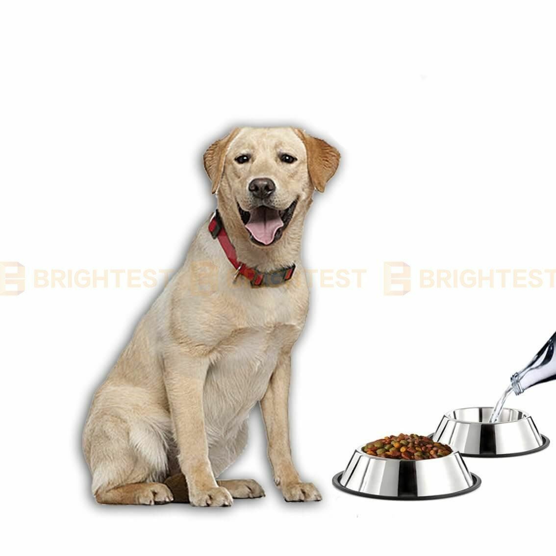 Stainless Steel Pet Bowl Water Bowls Portable Anti Slip Skid Feeder Dog Cat