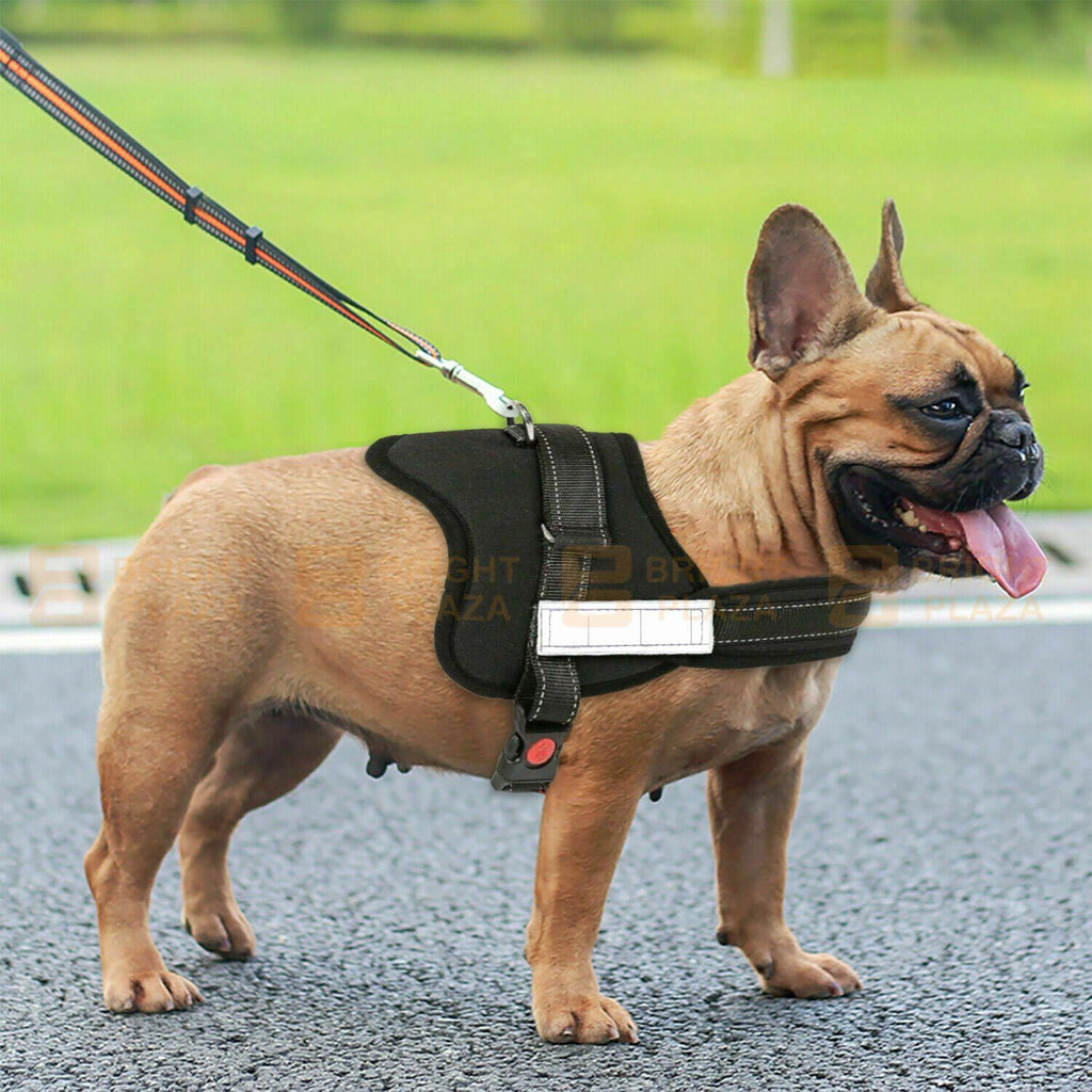 Reflective Adjustable Pet Puppy Dog Harness Support Padded BUY 1 GET 1 FREE