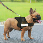 Reflective Adjustable Pet Puppy Dog Harness Support Padded BUY 1 GET 1 FREE