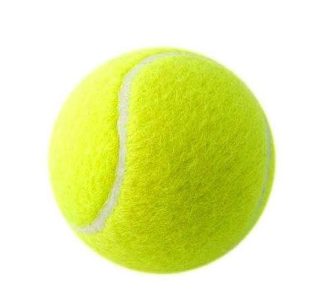 12 Pack Tennis Balls Standard Size, Durable Bounce, Training & Play Ball, Pet Ki