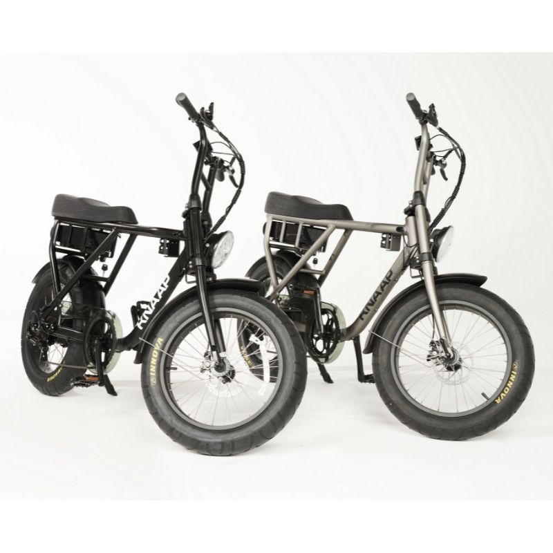 Knaap Bikes 2 Seater Fat Tyre Electric Bike