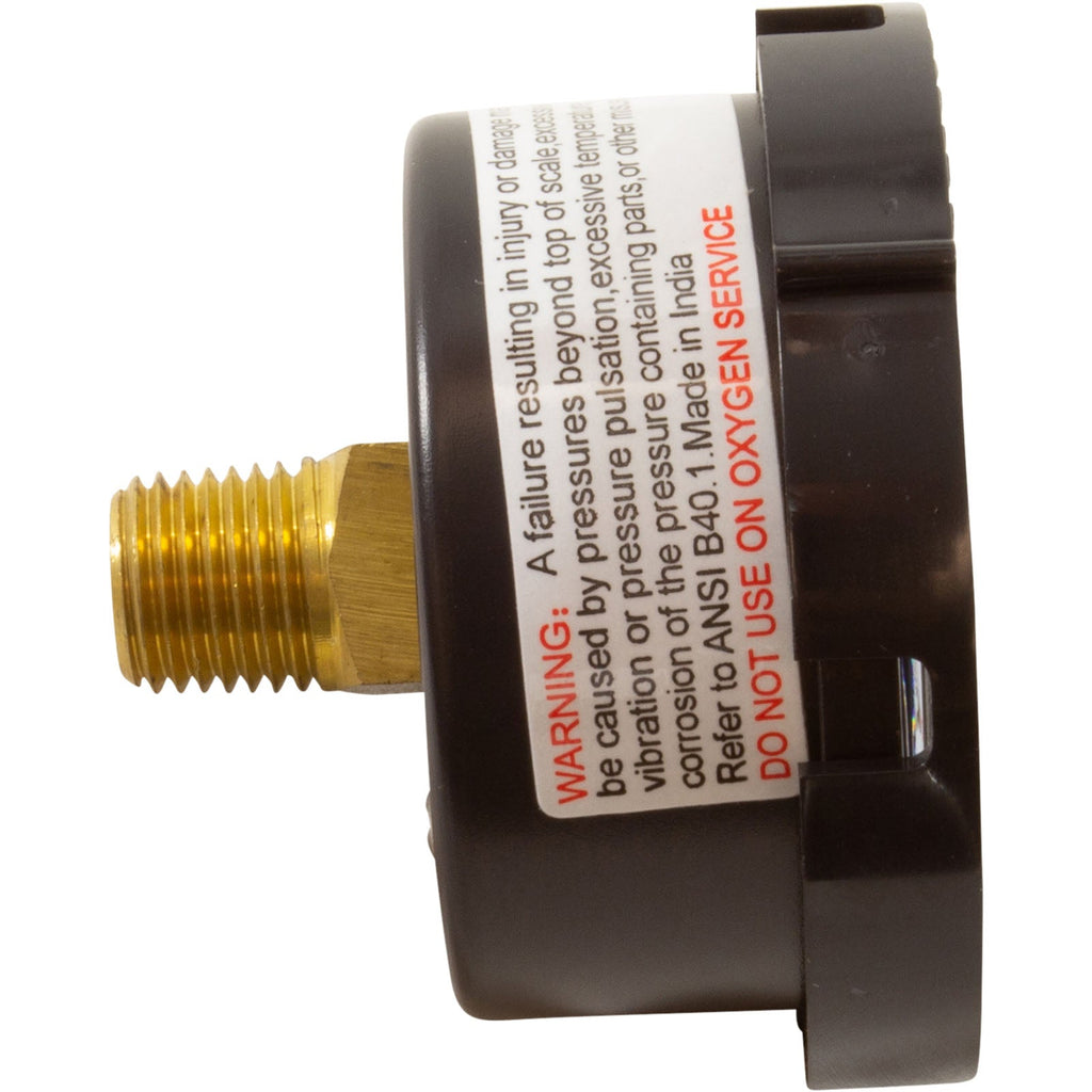 Pentair 190059Z 0-60 PSI Rear Mount Pressure Gauge with Indicator