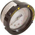 Pentair 190059Z 0-60 PSI Rear Mount Pressure Gauge with Indicator