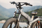 Engwe X20 Electric Bike Grey