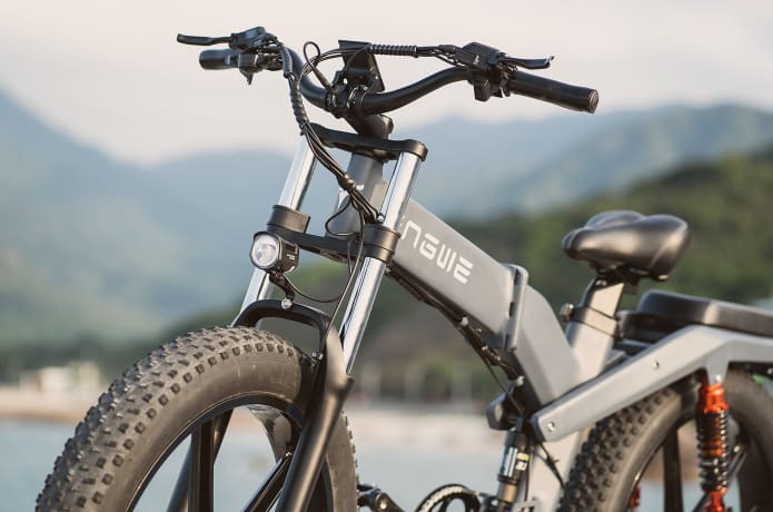 Engwe X20 Electric Bike Grey