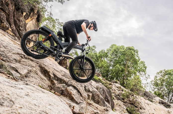 Engwe X20 Electric Bike Black