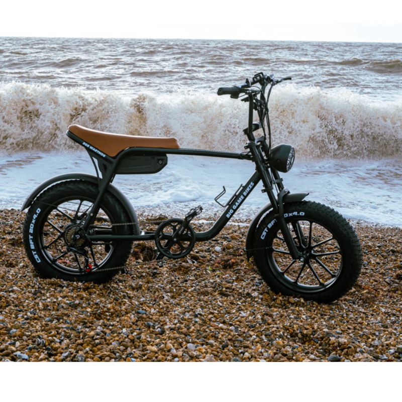 Big Game Bikes Warthog Fat Tyre Electric Bike 250W