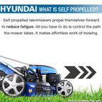 Hyundai 20" / 51cm 196cc 4-in-1 Self-Propelled Petrol Lawnmower, Mulch, Rear & Side Discharge, Hose Connector| HYM510SP