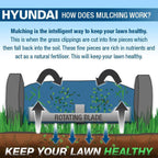 Hyundai 17"/42cm 139cc Electric-Start Self-Propelled Petrol Lawnmower | HYM430SPE