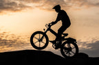 Engwe X26 Electric Bike Black