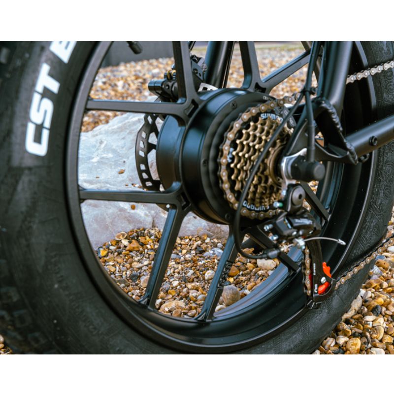 Big Game Bikes Warthog Fat Tyre Electric Bike 250W
