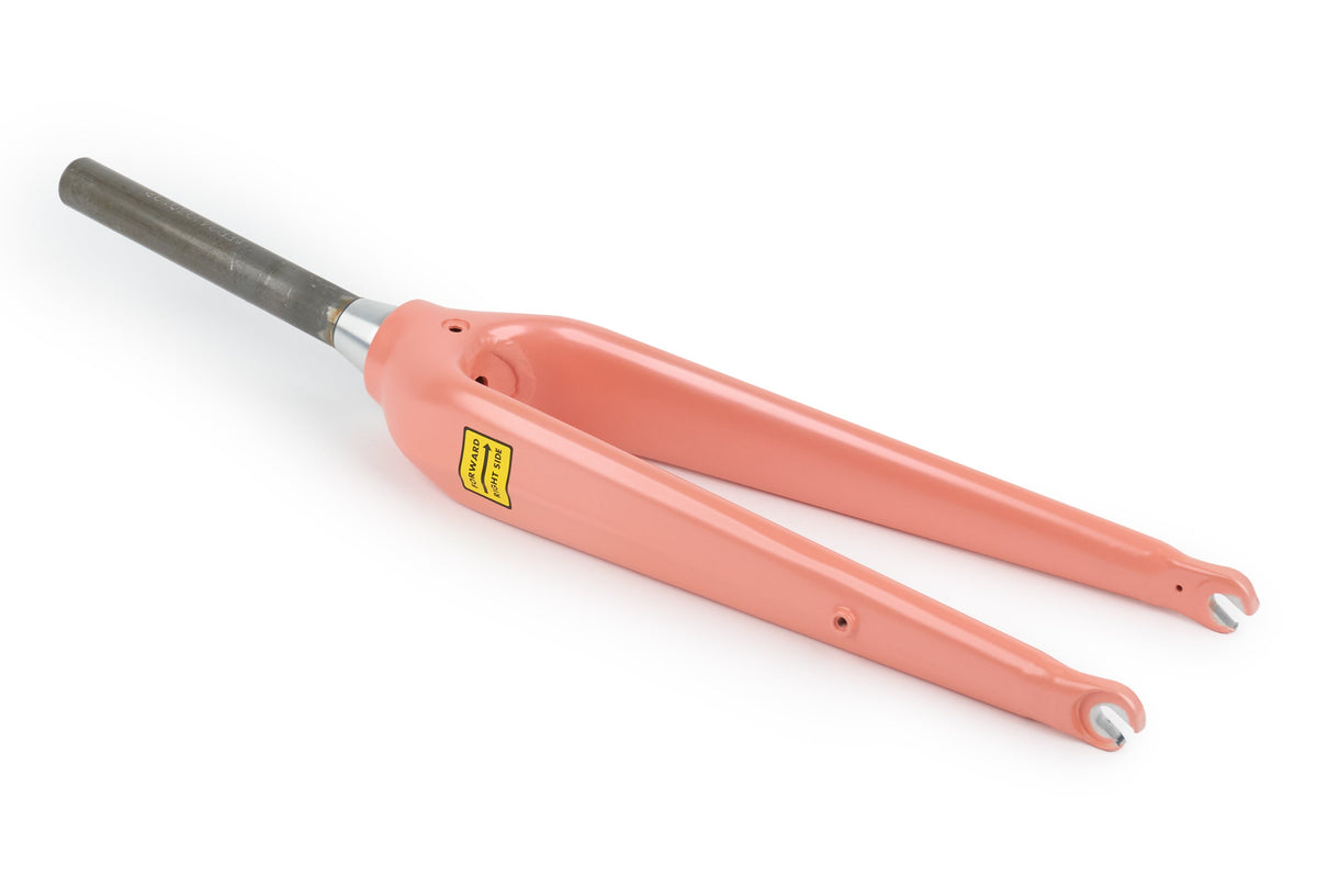 Aventon Fork