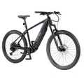 Viking Pro Mountain Electric Bike