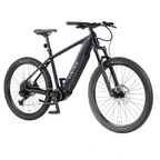 Viking Pro Mountain Electric Bike