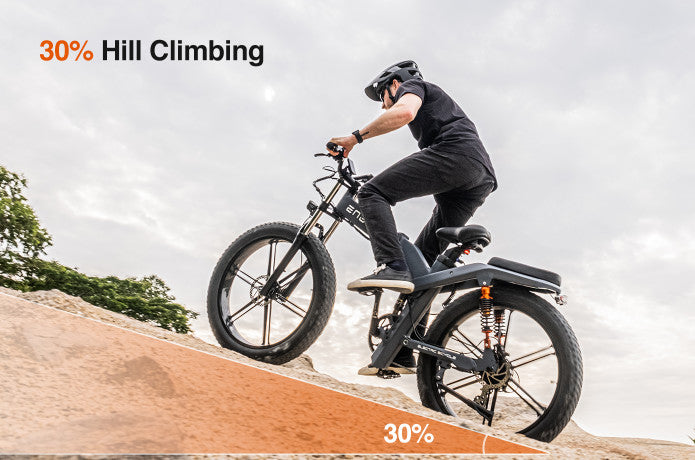 Engwe X20 Electric Bike Black