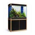 Aqua Dream 100 Gallon Tempered Glass Aquarium Black and Gold